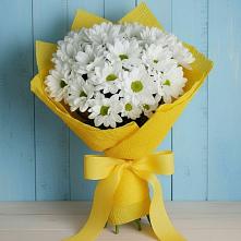 Букет цветов из:  Хризантемы в Пскове