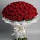 Букет 101 Красная роза Блэк Мэджик в Пскове