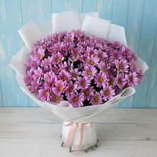 Букет цветов из:  Хризантемы в Пскове