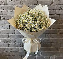 Букет цветов из:  Ромашки #REPLACE_PRED# Пскове