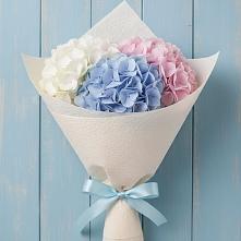 Букет цветов из:  Гортензия в Пскове