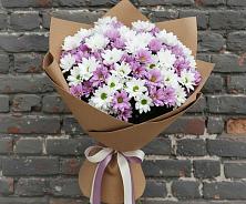 Букет цветов из:  Хризантемы в Пскове