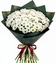 Букет цветов из:  Хризантемы в Пскове