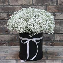 Цветочная композиция из Гипсофила в шляпной коробке #REPLACE_PRED# Пскове