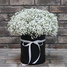 Цветочная композиция из Гипсофила в шляпной коробке в Пскове