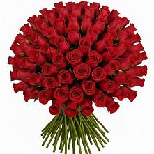 Букет Красные розы Чери Лав #REPLACE_PRED# Пскове