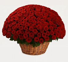 Премиум букет из: Розы #REPLACE_PRED# Пскове