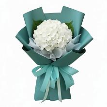 Букет цветов из:  Гортензия в Пскове